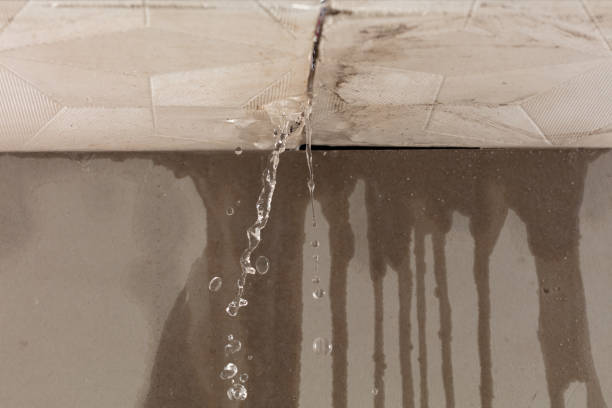 Professional Structural Drying technician working in Macclesfield, NC